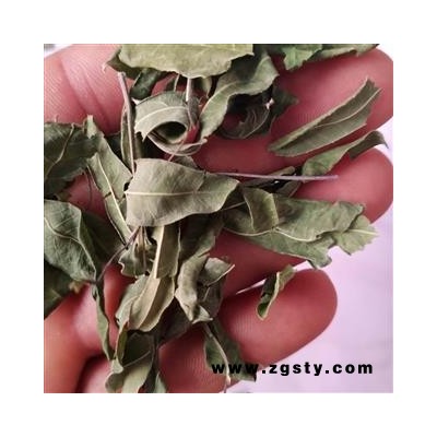 诺源药材行中药材罗布麻  野麻 野茶 茶叶花