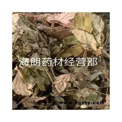 甜茶甜茶叶 一斤起售经营各种中草药中药材需要联系