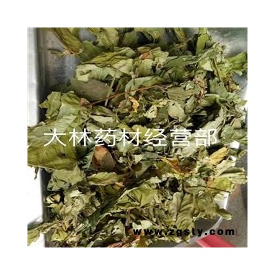 两斤起发货  甜茶叶甜茶  正常情况下二十四小时内发货
