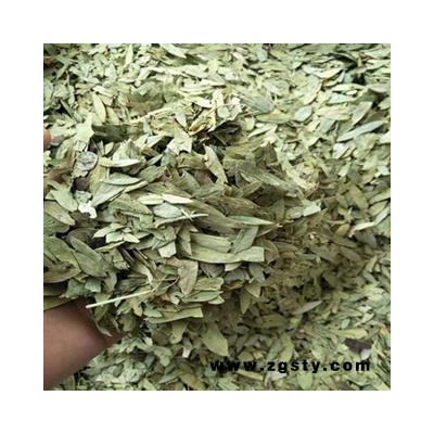 诺源药材行中药材减脂叶 选泻叶 潘泻叶 便秘茶 零售批发 大货从优