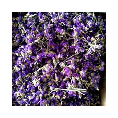 诺源药材行优质百花茶 勿忘我
