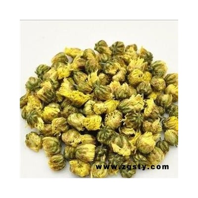 杭白菊花蕾  胎菊 1000g
