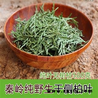 干侧柏叶秦岭野生侧柏叶新鲜干侧柏叶洗发生发乌发阴干侧柏叶500g