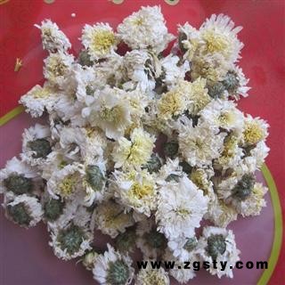 优质正品【黄山 贡菊花茶】旺季大促销，超低价！