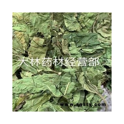 两斤起发货 桑叶家桑 正常情况下二十四小时内发货