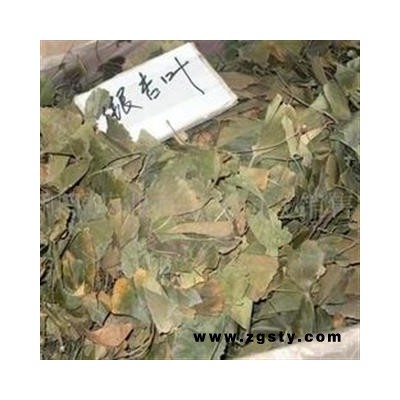 诺源药材行中药材茶饮银杏叶 白果叶