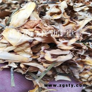 恒海康源堂栀子花栀子花 正品 薝下花 山栀花 野桂花 白蟾花 雀舌花 玉瓯花 玉荷花