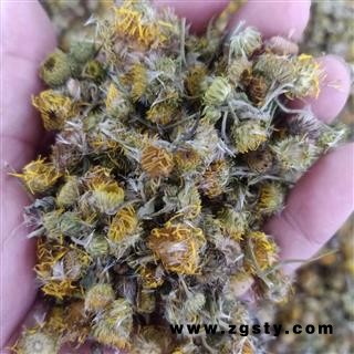 旋覆花 旋覆花统货 正品 产地 河南省 小影全品类中药材店铺