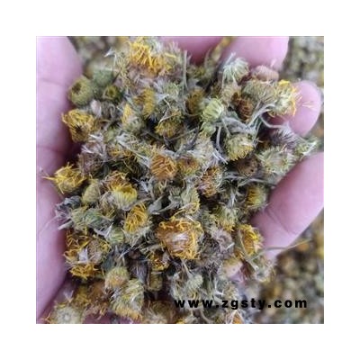 旋覆花 旋覆花统货 正品 产地 河南省 小影全品类中药材店铺