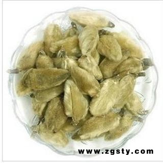 辛夷花 选 批发零售 花茶 冷背奇中药材 产地 湖北省