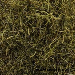 金银花 统  产地 湖南省