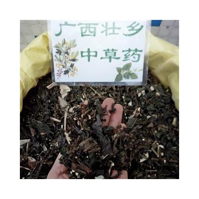 广西壮乡中草药 野生 紫苏 全草 产地 广西柳州