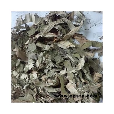 荷叶 荷叶丝，荷叶片，统片， 打粉荷叶，产地 河南省