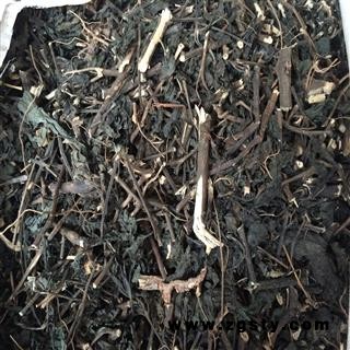 大青叶 产地直销 好货