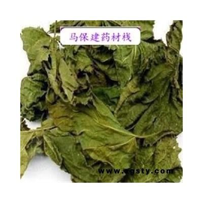 桑叶 青桑叶统货 产地 山东省
