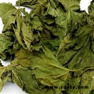 灵吉药业 桑叶  批发各种规格名贵药材 中草药 花茶 人参 冷背珍稀野生药材