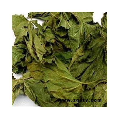 灵吉药业 桑叶  批发各种规格名贵药材 中草药 花茶 人参 冷背珍稀野生药材