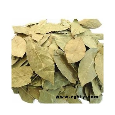 德誉堂药业 香叶 统 批发中药材 花茶 矿石 产地 广西省