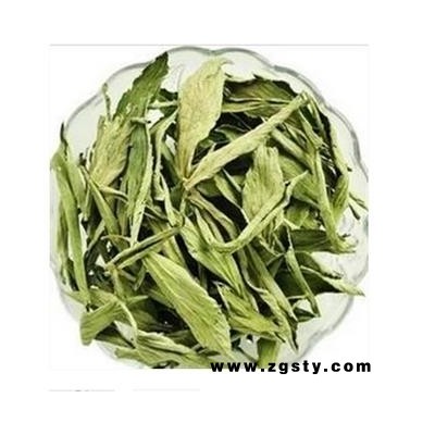 甜叶菊 甜菊叶 好 产地 广东省  茶用