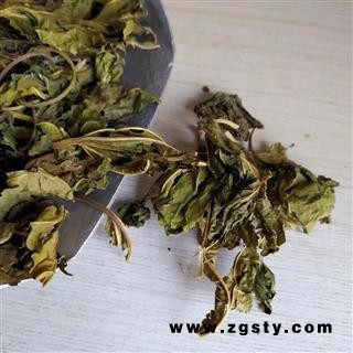 中药材收购站 直供批发 桑叶 青桑叶 产地 江苏省