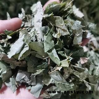 淫羊藿  洋火叶 纯青淫羊藿选货无杆 产地 甘肃省