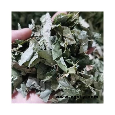 淫羊藿  洋火叶 纯青淫羊藿选货无杆 产地 甘肃省