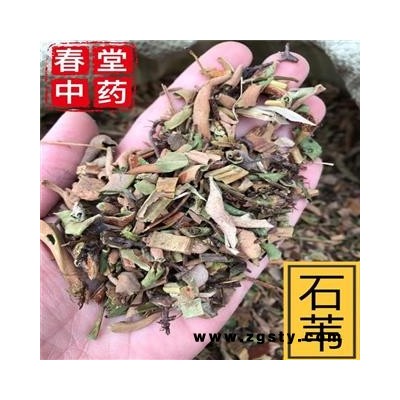 石韦 小叶石苇 统 产地 云南省