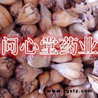 问心堂药业供应中药材山菠萝滴血莲花样菩提 莲花样