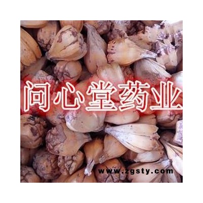 问心堂药业供应中药材山菠萝滴血莲花样菩提 莲花样
