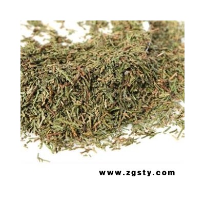 安祁名药侧柏叶 统 产地 山东省