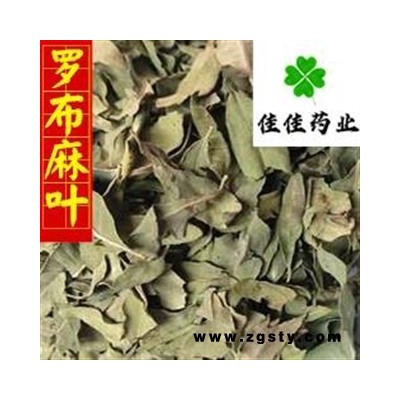 罗布麻叶 新货 颜色好 供应各种中药材 产地 新疆维吾尔自治区