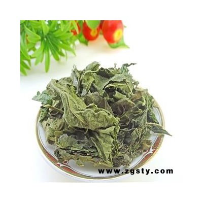 桑叶  霜桑叶 霜后桑叶 桑叶 青桑叶