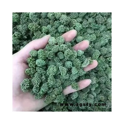云南文山3年生三七花/田七花 产地直销