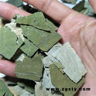 荷叶 荷叶中方片2.5×2 产地 山东省