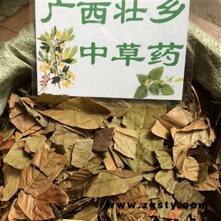 广西壮乡中草药 野生 葫芦茶 剃刀柄 金剑草 咸鱼草 产地 广西柳州