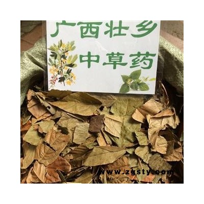 广西壮乡中草药 野生 葫芦茶 剃刀柄 金剑草 咸鱼草 产地 广西柳州
