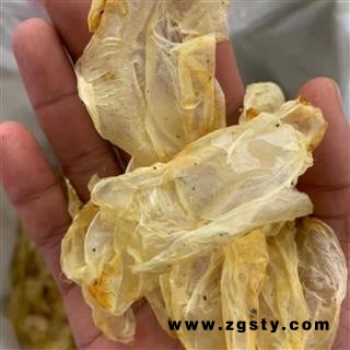 鱼鳔 统货 产地 山东省