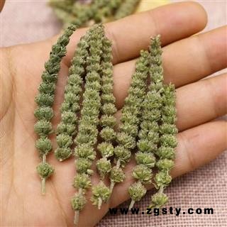 中药材荆芥穗 包邮 野生荆芥穗 荆芥香荆 芥穗 新货正品无硫