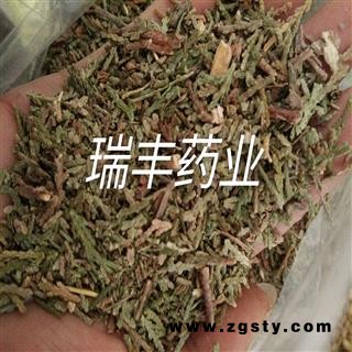 侧柏叶 侧柏叶统货 产地 山东省