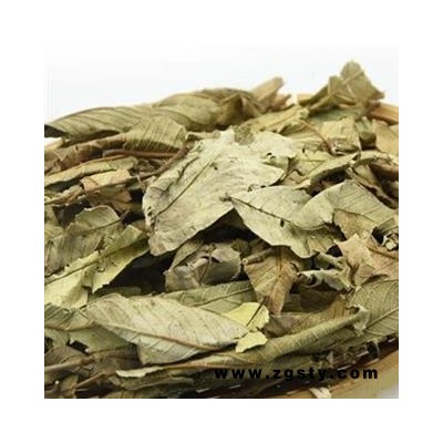 小丽百草行中药材番石榴叶  鸡矢茶 番桃