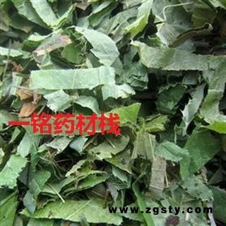 淫羊藿 甘肃选装淫羊藿 产地 甘肃省