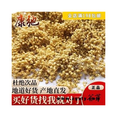 谷芽 谷芽统货 产地 山东省 专注药材品质8年时间