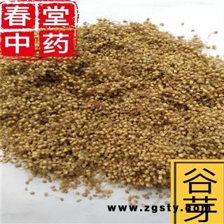 谷芽 生谷芽 统 产地 山东省