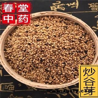 谷芽 炒谷芽 统货 产地 山东省