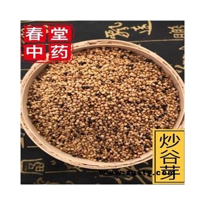 谷芽 炒谷芽 统货 产地 山东省