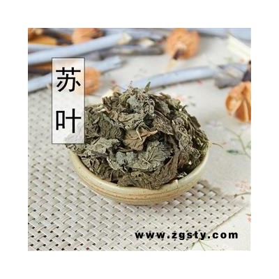 中药材 野生苏叶 正品紫苏叶 紫苏子紫苏叶粉 纯天然新鲜干货 泡茶 500克