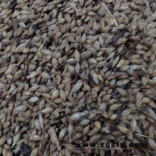 炒麦芽 统 产地 山东省 山东祥泰中药行 批发零售各种中药材