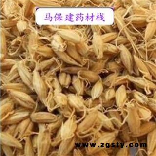 麦芽 麦芽统货 产地 山东省