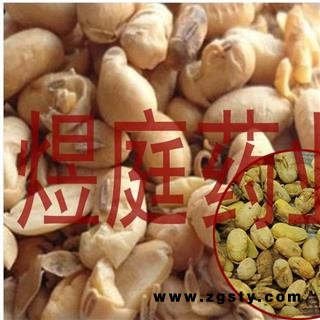 煜庭药业 大豆黄卷 大豆卷 黄豆卷