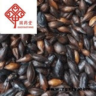 麦芽  焦麦芽 焦三仙 产地 山东省 国药堂 专注品质